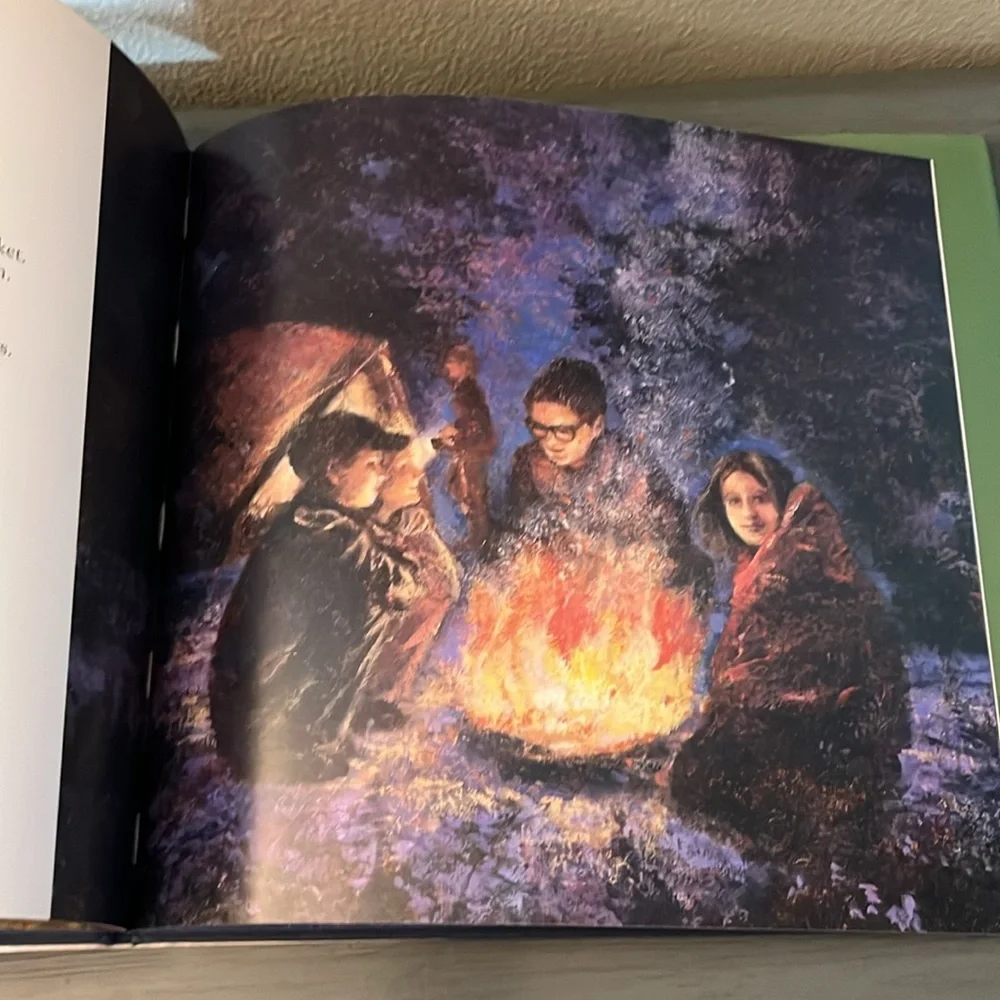Camping Hardback – Picture Book, November 2006 by Nancy Hundal